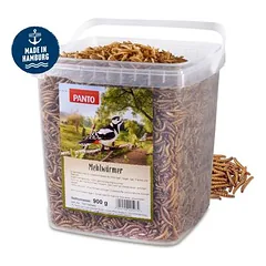 PANTO Mehlwürmer - Proteinreicher getrockneter Snack