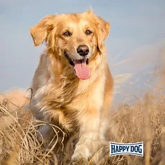 Happy Dog NaturCroq kaulai su ėriena ir ryžiais, skanėstai šunims, > 250 g — 5 nuotrauka