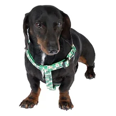 WARNER BROS Harry Potter Slytherin petnešos, žalios, Dideliems 26–45 kg — 3 nuotrauka