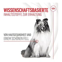 Royal Canin Skin & Coat Adult Supplement kramtomi skanėstai šunims — 3 nuotrauka