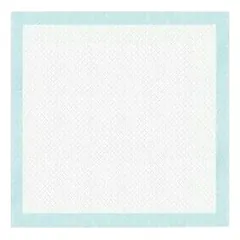 Record dresavimo paklotėliai šuniukams 60 x 60 cm, 100 vnt. — 3 nuotrauka