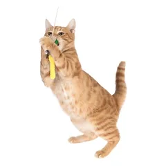 TIAKI Katzenangel Libelle mit LED-Pointer, TIAKI Katzenangel Libelle mit LED-Pointer 1 Stück — 4 nuotrauka
