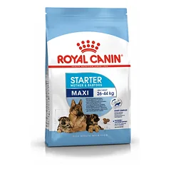 ROYAL CANIN Maxi Starter Mother&Babydog 15kg + STAIGMENA ŠUNIUI