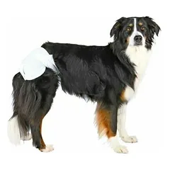 TRIXIE vienkartinės sauskelnės kalėms, XL 40-58 cm, 12 vnt. — 4 nuotrauka