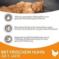 IAMS Advanced Nutrition Adult Cat su vištiena — 4 nuotrauka