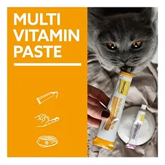 GimCat Multi-Vitamin pasta, skanėstai katėms, 50 - 79 g — 3 nuotrauka