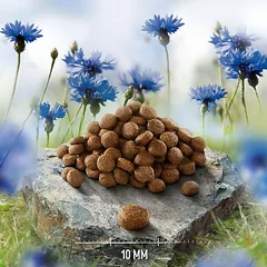 Purizon Single Meat su jautiena ir hibiskų žiedais, sausas maistas katėms, < 1,4 kg — 2 nuotrauka