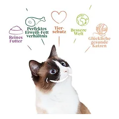Yarrah Bio paštetas, drėgnas maistas katėms 6 x 400 g — 2 nuotrauka