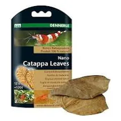 Dennerle Nano Catappa lapai, 12vnt