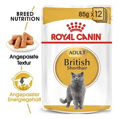 Royal Canin British Shorthair Adult in Soße