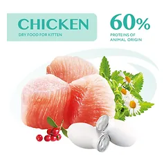 OPTIMEAL sausas maistas kačiukams su vištiena 4 kg — 3 nuotrauka