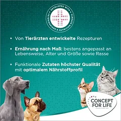 Concept for Life Large Adult sausas maistas šunims, 1,5 - 2,9 kg — 5 nuotrauka