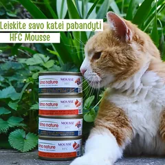 Almo Nature HFC Mousse Mackerel and Chicken putėsiai katėms su skumbre ir vištiena, 70 g — 3 nuotrauka