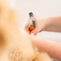 Wahl® kuokštų šalinimo įrankis, L 24 x B 6,3 x H 4,1 cm — 3 nuotrauka