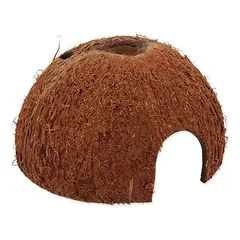 Repti Planet Dekoras terariumui: Coco Shell L nuotrauka