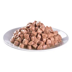 BRIT PREMIUM Salmon & Trout konservai suaugusioms katėms 100 g — 2 nuotrauka