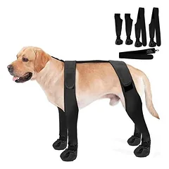 IntiMeg Hundeschuhe