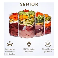 Terra Canis Senior begrūdis drėgnas maistas šunims 6 x 800 g — 5 nuotrauka