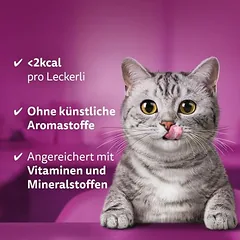 Whiskas traškios pagalvėlės, skanėstai katėms, 125 - 249 g — 3 nuotrauka