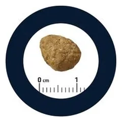 Advance Sterilized Junior su višta, sausas maistas katėms, > 10 kg — 4 nuotrauka