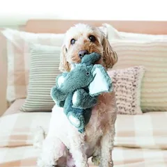 KONG Comfort Kiddos Elephant žaislas šunims, Dydis XS: L 10 x B 13 x H 15 cm — 2 nuotrauka