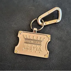 Bestia QR kodo šuns pakabukas Animal-ID
