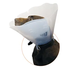 Genia apsauginė apykaklė NECKY 35 cm, N1 parduotuvėje petshop.lt