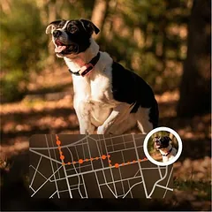 Weenect XS juodas Mini GPS sekiklis mažiems šunims (be antkaklio) — 4 nuotrauka