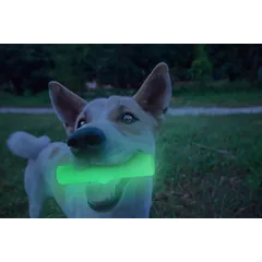 2 GLOW tamsoje šviečiantis kaulo formos žaislas šunims — 4 nuotrauka