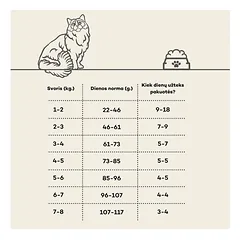 Suaugusių kačių sausas begrūdis pašaras su lašiša, 2 kg — 3 nuotrauka