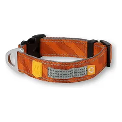 WOOLLY WOLF Terracotta Roam Collar antkaklis L, oranžinis