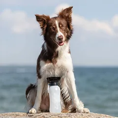 Trixie kelioninis butelis su gertuve augintiniams, įv. spalvų, 0.55 L — 2 nuotrauka