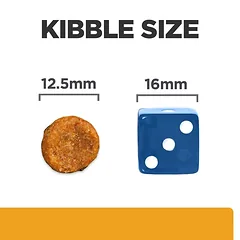Hill's PRESCRIPTION DIET c/d Multicare šunų pašaras, 4 kg — 2 nuotrauka