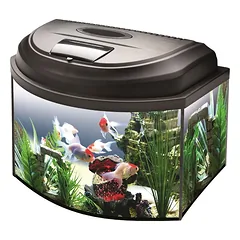 Aquael Classic BOX 40 D&N panoraminis (20L)
