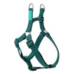 Petnešos Basic Nylon A-Type, žalios, 15 mm x 30-50 cm