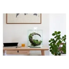 Aquael Shrimp Set Smart Day&Night 10 White akvariumas su įranga krevetėms 10 l — 3 nuotrauka
