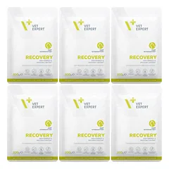 VETEXPERT Recovery Cat – šlapias veterinarinis maistas katėms, 6x100 g