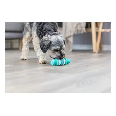 TRIXIE Denta Fun kaulas, mėtų skonio, nat.guma, 15 cm, 1 vnt. — 2 nuotrauka