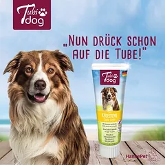 Tubidog sūrio kremas su morkomis ir moliūgais, skanėstai šunims — 5 nuotrauka