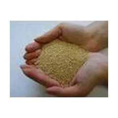 Zelyonaya Dacha 2L - soil conditioner — 2 nuotrauka