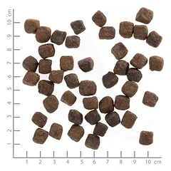 Wolfsblut Small Breed Deep Glade Adult sausas maistas mažų veislių šunims, 2 kg — 4 nuotrauka