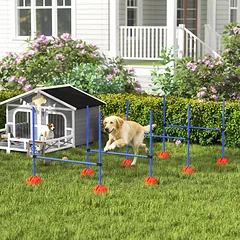Agility rinkinys šunims iš 4 kliūčių, su nešimo krepšiu, šuolių treniruotėms, oranžinis/mėlynas — 2 nuotrauka
