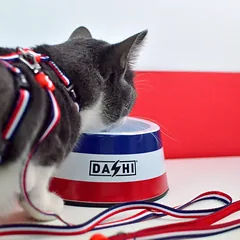 Dashi Stripes raudona ir mėlyna katės petnešų ir pavadėlio komplektas - katės petnešų ir pavadėlio komplektas, raudonos ir mėlynos juostos — 2 nuotrauka