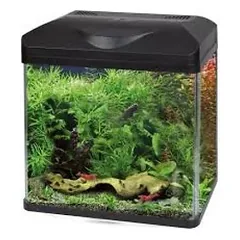 AMTRA LAGUNA LED 40 AKVARIUMAS 32l