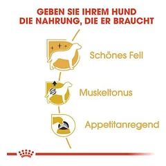 Royal Canin Poodle Adult sausas maistas šunims — 4 nuotrauka