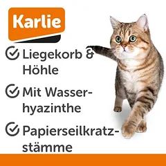 Karlie draskyklė Wasserhyazinthe Sombra L, Dideliems > 5 kg — 3 nuotrauka