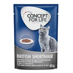 Concept for Life British Shorthair Adult (Ragout-Qualität)