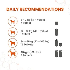 Vetzyme Once a Day Conditioner papildas šunims, bendram organizmo stiprinimui N30 — 3 nuotrauka