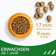 IAMS Advanced Nutrition Adult Large Dog su ėriena, sausas maistas šunims — 4 nuotrauka