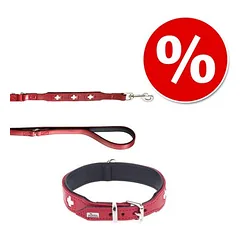 HUNTER Set: Halsband Swiss + Hundeleine Swiss